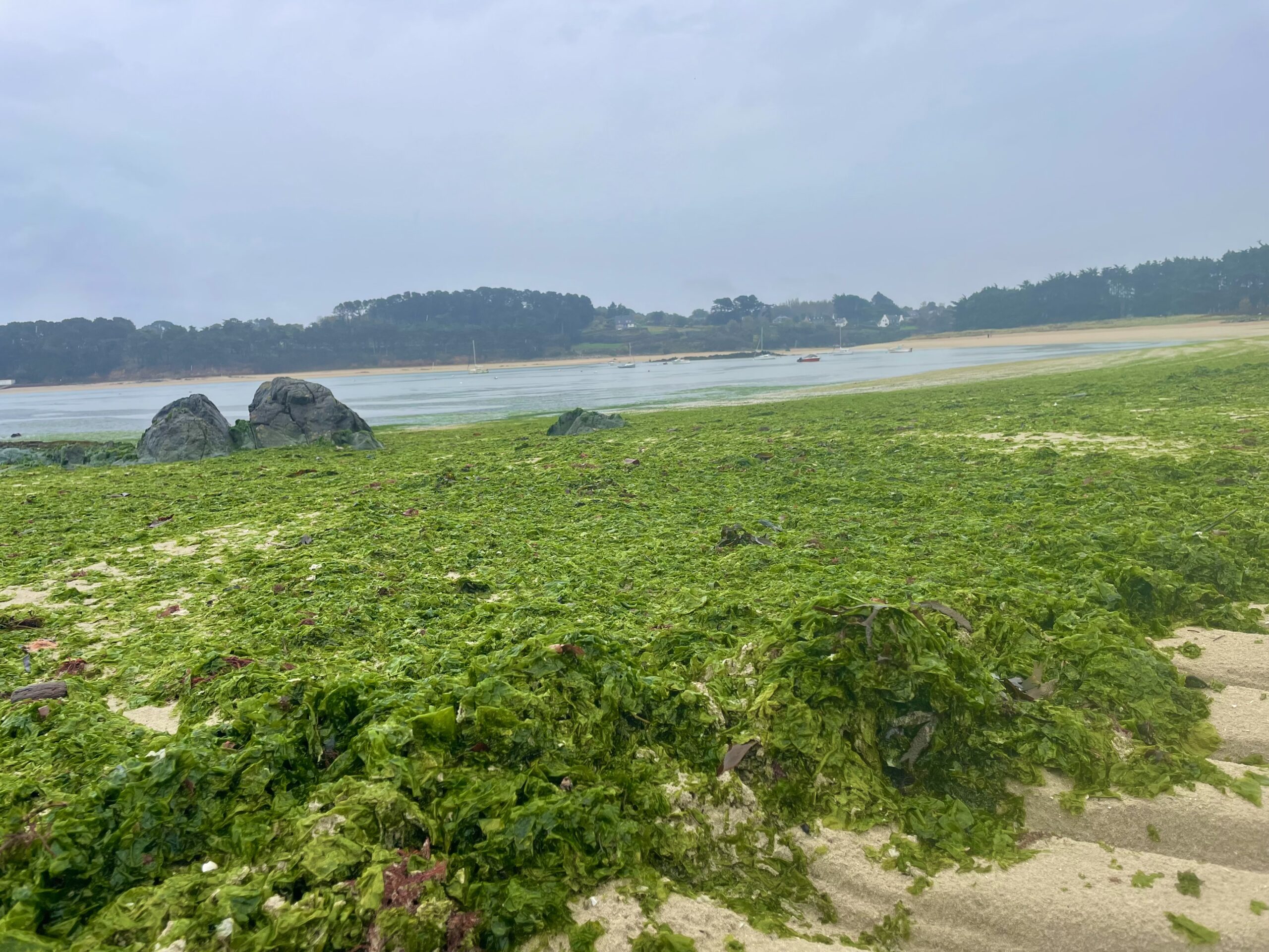 Algues Vertes : objectif consensus pour l’emplacement des capteurs d’Air Breizh