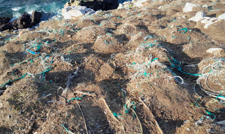 Voyage en mer : le destin des déchets