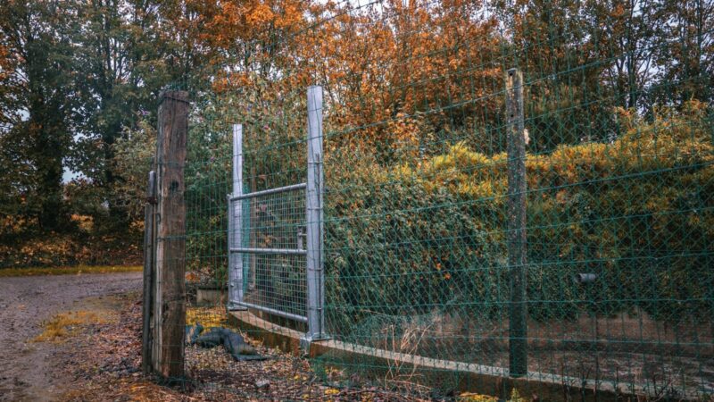 Fosses à lisier : une menace silencieuse pour l’environnement