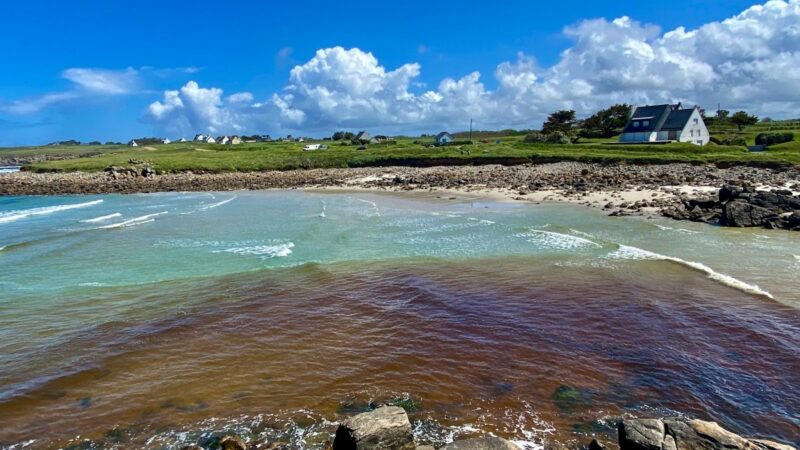 Qualité des eaux de baignade : à qui se fier ?