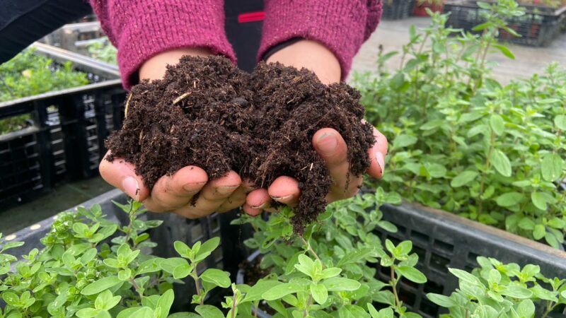 Du laboratoire au champ : combler le fossé entre agronomes et producteurs bretons